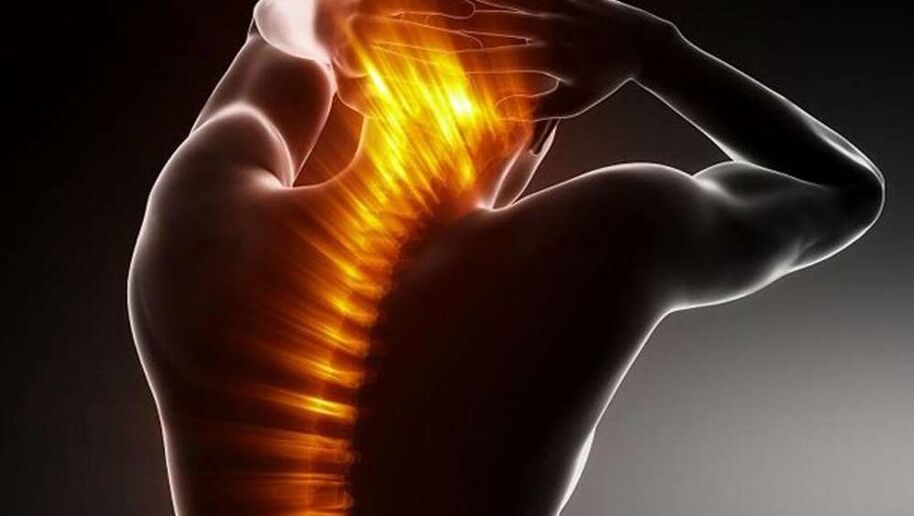 Why the back hurts